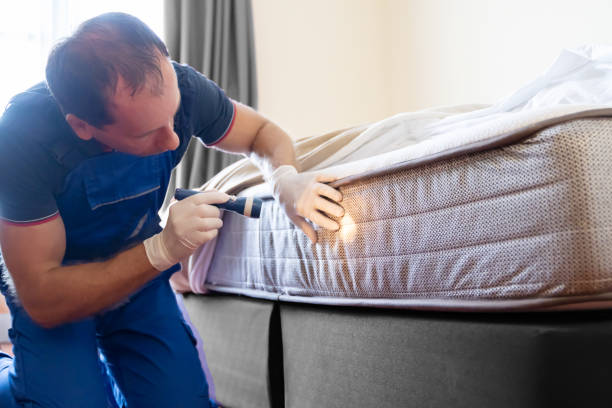 Best Fumigation Services  in Weston, MO